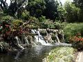 21a - Jardin Tropical 030